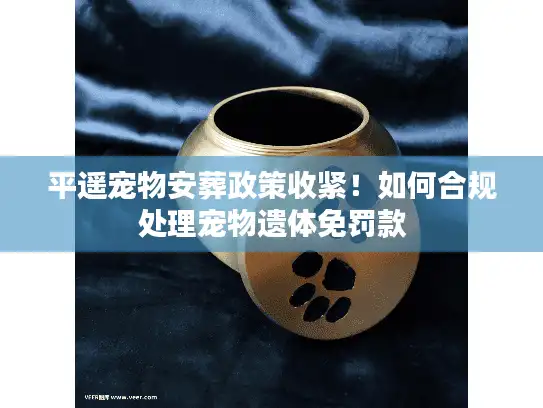 平遥宠物安葬政策收紧！如何合规处理宠物遗体免罚款