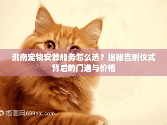 洮南宠物安葬服务怎么选？揭秘告别仪式背后的门道与价格