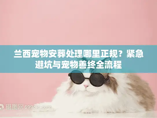 兰西宠物安葬处理哪里正规？紧急避坑与宠物善终全流程