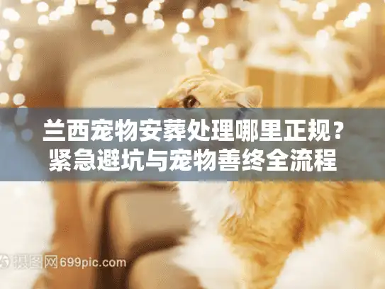 兰西宠物安葬处理哪里正规？紧急避坑与宠物善终全流程