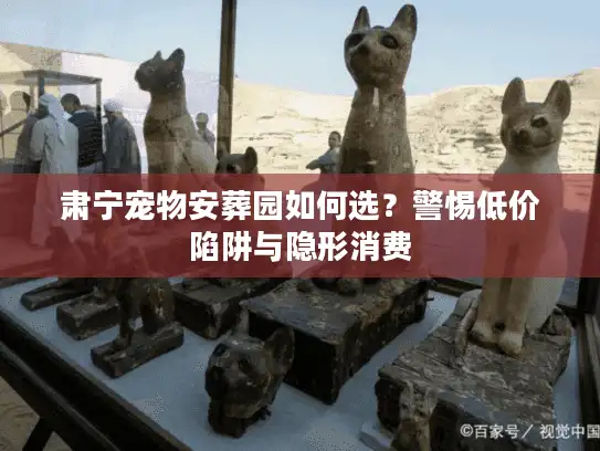 肃宁宠物安葬园如何选？警惕低价陷阱与隐形消费