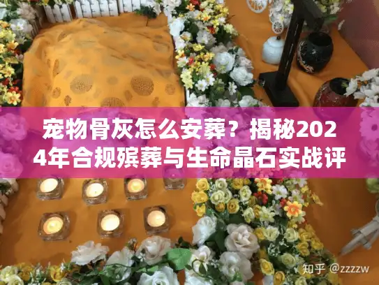 宠物骨灰怎么安葬？揭秘2024年合规殡葬与生命晶石实战评测