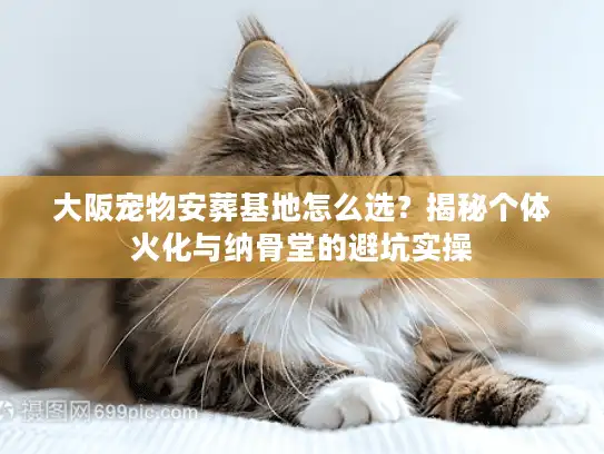 大阪宠物安葬基地怎么选？揭秘个体火化与纳骨堂的避坑实操