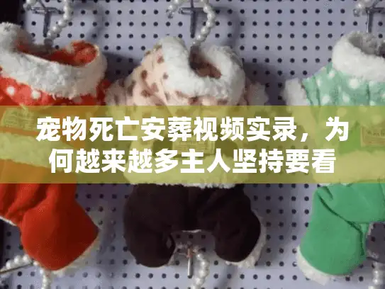 宠物死亡安葬视频实录，为何越来越多主人坚持要看独立火化？