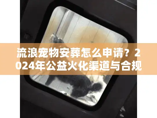 流浪宠物安葬怎么申请？2024年公益火化渠道与合规流程