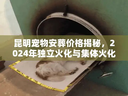昆明宠物安葬价格揭秘，2024年独立火化与集体火化差多少？