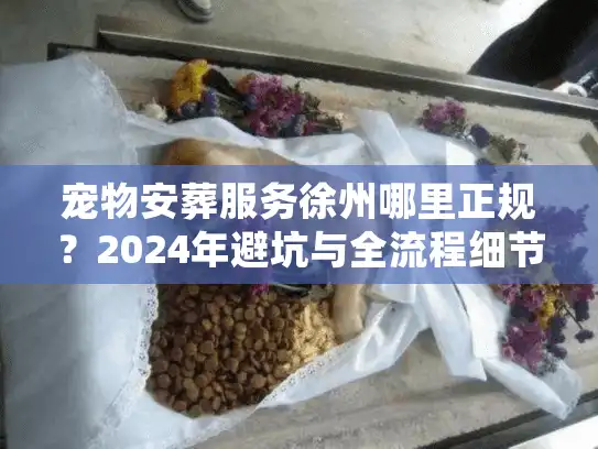 宠物安葬服务徐州哪里正规？2024年避坑与全流程细节揭秘