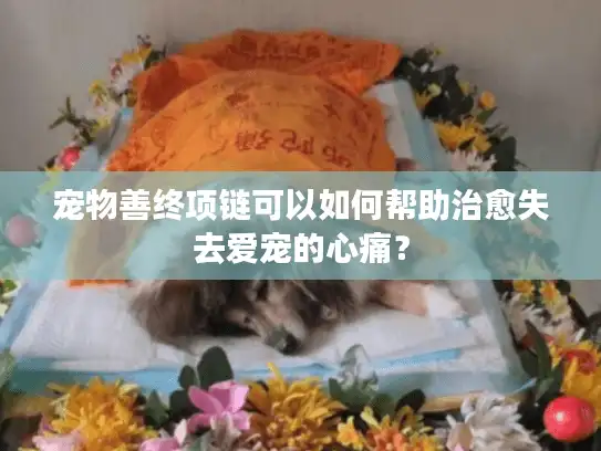 宠物善终项链可以如何帮助治愈失去爱宠的心痛？
