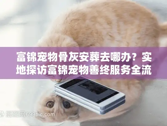 富锦宠物骨灰安葬去哪办？实地探访富锦宠物善终服务全流程