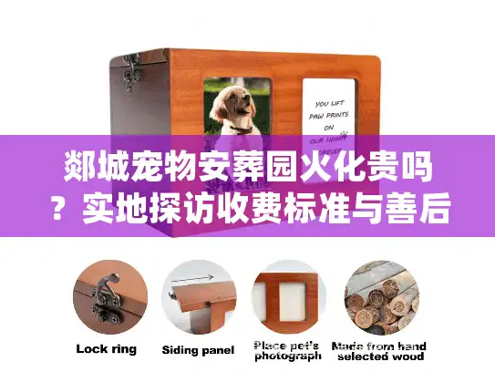 郯城宠物安葬园火化贵吗？实地探访收费标准与善后细节