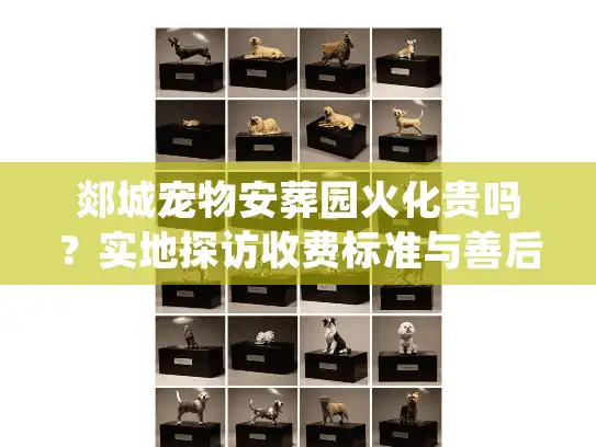 郯城宠物安葬园火化贵吗？实地探访收费标准与善后细节