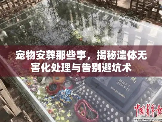 宠物安葬那些事，揭秘遗体无害化处理与告别避坑术