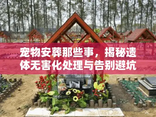 宠物安葬那些事，揭秘遗体无害化处理与告别避坑术