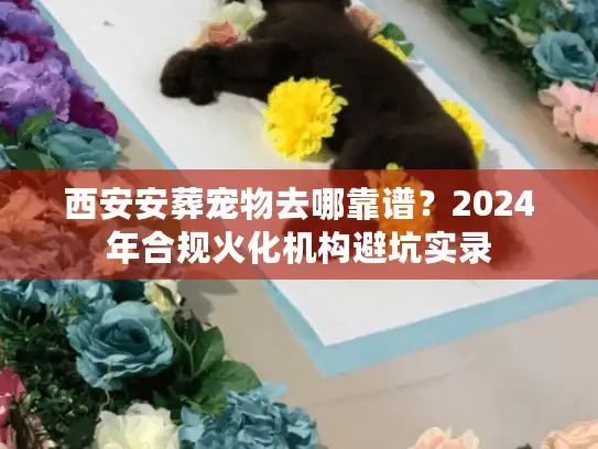 西安安葬宠物去哪靠谱？2024年合规火化机构避坑实录