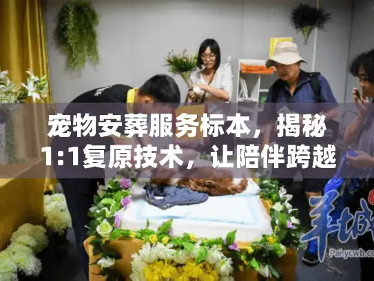 宠物安葬服务标本，揭秘1:1复原技术，让陪伴跨越生死