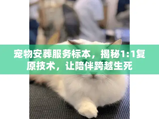 宠物安葬服务标本，揭秘1:1复原技术，让陪伴跨越生死