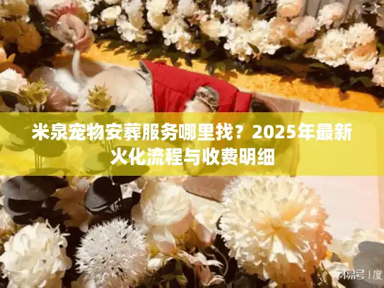 米泉宠物安葬服务哪里找？2025年最新火化流程与收费明细