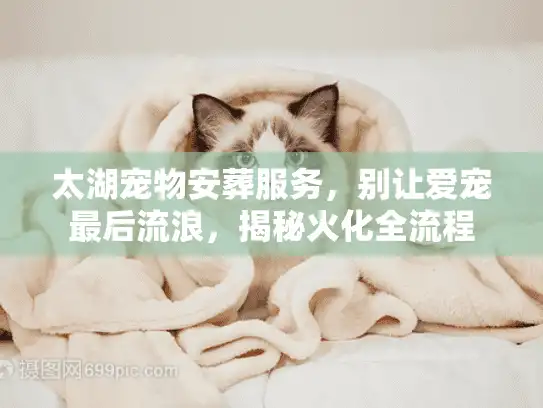 太湖宠物安葬服务，别让爱宠最后流浪，揭秘火化全流程