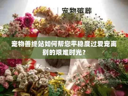 宠物善终站如何帮您平稳度过爱宠离别的艰难时光？