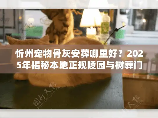 忻州宠物骨灰安葬哪里好？2025年揭秘本地正规陵园与树葬门道