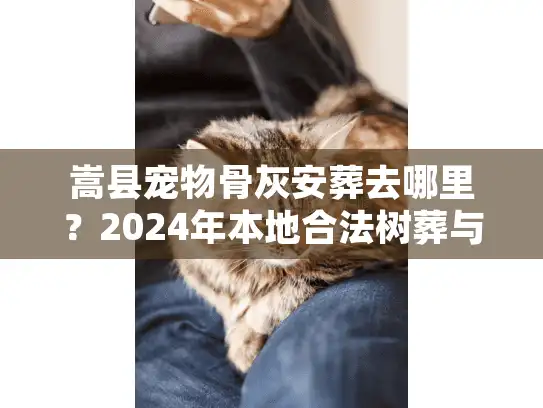嵩县宠物骨灰安葬去哪里？2024年本地合法树葬与告别仪式全流程