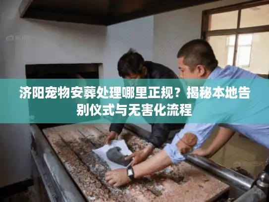 济阳宠物安葬处理哪里正规？揭秘本地告别仪式与无害化流程