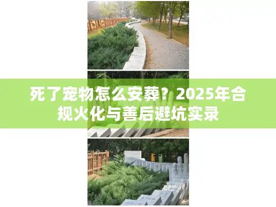 死了宠物怎么安葬？2025年合规火化与善后避坑实录