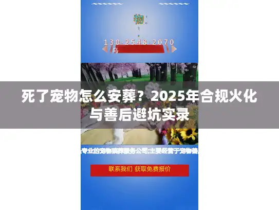 死了宠物怎么安葬？2025年合规火化与善后避坑实录