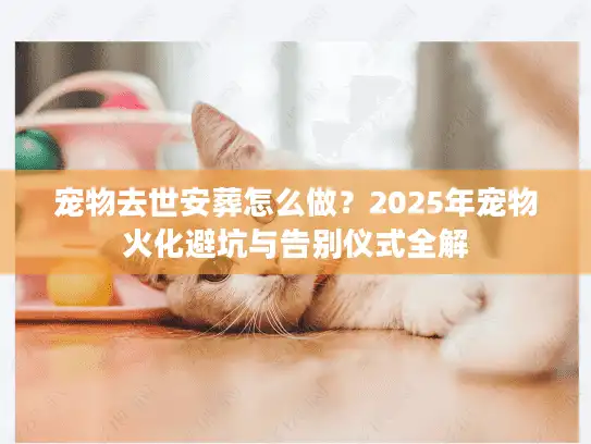 宠物去世安葬怎么做？2025年宠物火化避坑与告别仪式全解