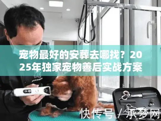宠物最好的安葬去哪找？2025年独家宠物善后实战方案
