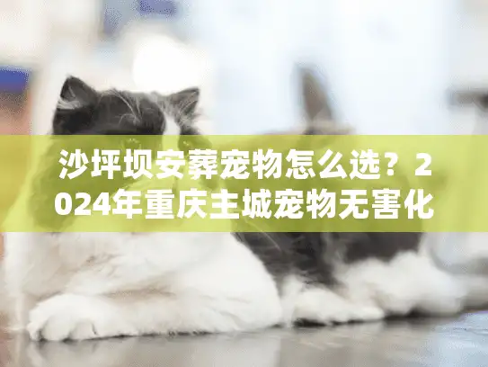 沙坪坝安葬宠物怎么选？2024年重庆主城宠物无害化处理避坑实录