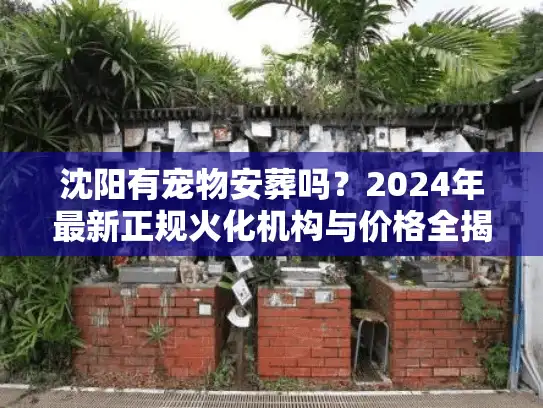 沈阳有宠物安葬吗？2024年最新正规火化机构与价格全揭秘
