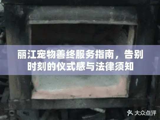 丽江宠物善终服务指南，告别时刻的仪式感与法律须知