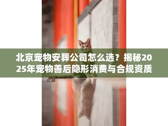 北京宠物安葬公司怎么选？揭秘2025年宠物善后隐形消费与合规资质