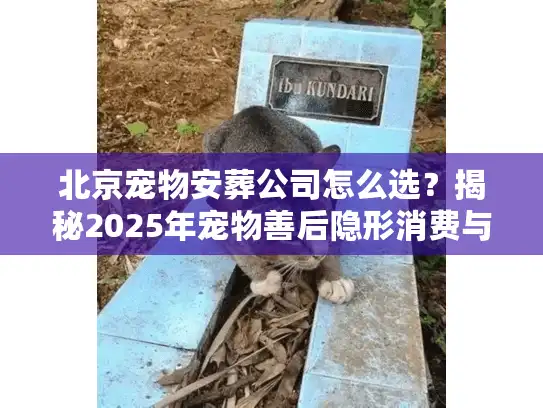 北京宠物安葬公司怎么选？揭秘2025年宠物善后隐形消费与合规资质