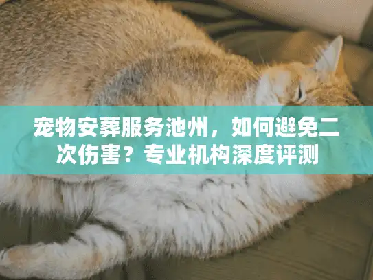 宠物安葬服务池州，如何避免二次伤害？专业机构深度评测