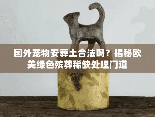 国外宠物安葬土合法吗？揭秘欧美绿色殡葬稀缺处理门道