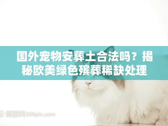 国外宠物安葬土合法吗？揭秘欧美绿色殡葬稀缺处理门道