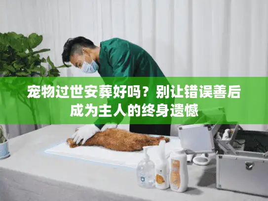 宠物过世安葬好吗？别让错误善后成为主人的终身遗憾