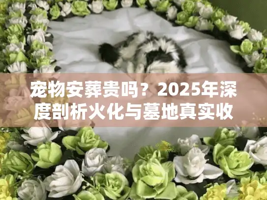 宠物安葬贵吗？2025年深度剖析火化与墓地真实收费明细