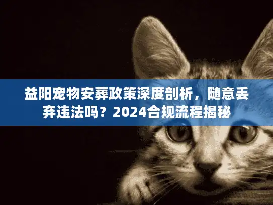益阳宠物安葬政策深度剖析，随意丢弃违法吗？2024合规流程揭秘