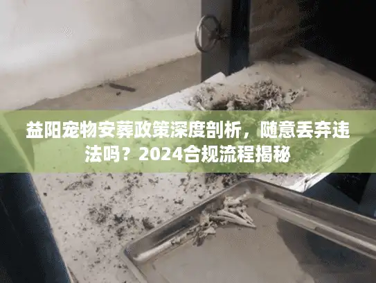 益阳宠物安葬政策深度剖析，随意丢弃违法吗？2024合规流程揭秘