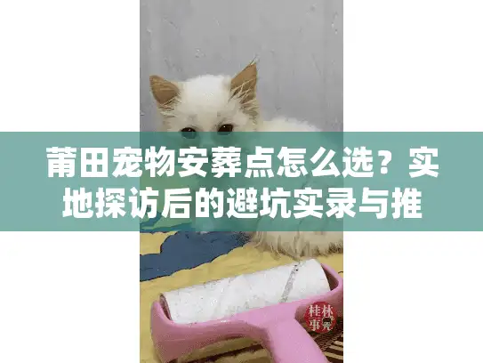 莆田宠物安葬点怎么选？实地探访后的避坑实录与推荐
