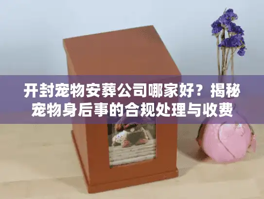 开封宠物安葬公司哪家好？揭秘宠物身后事的合规处理与收费