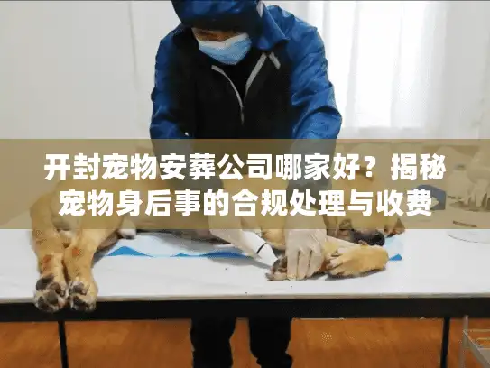 开封宠物安葬公司哪家好？揭秘宠物身后事的合规处理与收费