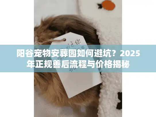 阳谷宠物安葬园如何避坑？2025年正规善后流程与价格揭秘