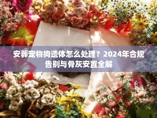安葬宠物狗遗体怎么处理？2024年合规告别与骨灰安置全解