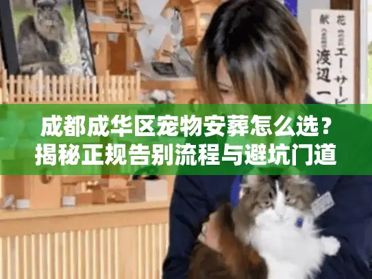 成都成华区宠物安葬怎么选？揭秘正规告别流程与避坑门道