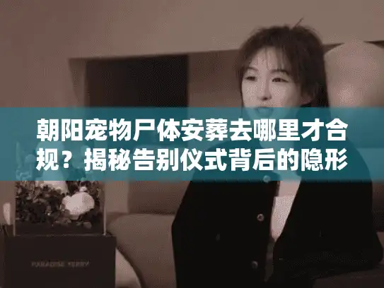 朝阳宠物尸体安葬去哪里才合规？揭秘告别仪式背后的隐形门道