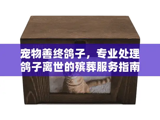 宠物善终鸽子，专业处理鸽子离世的殡葬服务指南